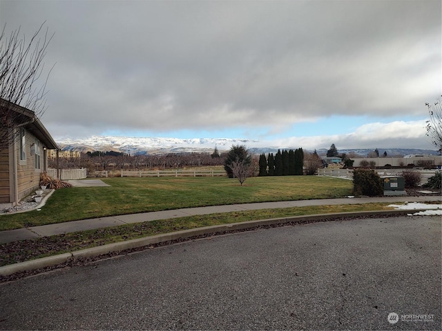 view of yard featuring a mountain view