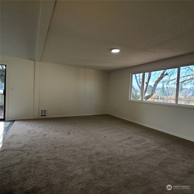 empty room featuring carpet flooring and a textured ceiling