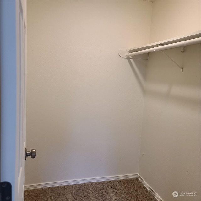 spacious closet featuring carpet flooring