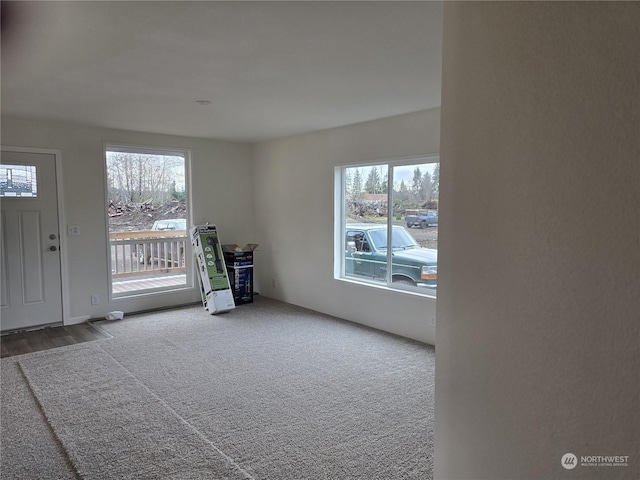 interior space featuring plenty of natural light and carpet