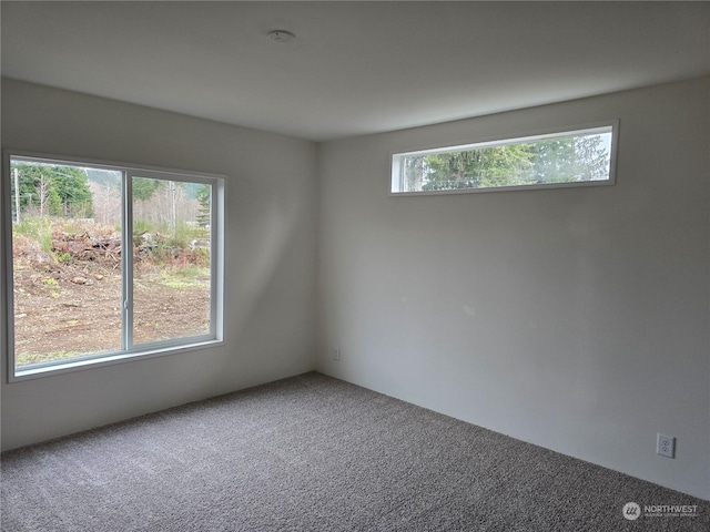 view of carpeted spare room