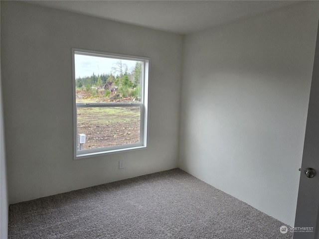 unfurnished room featuring plenty of natural light and carpet