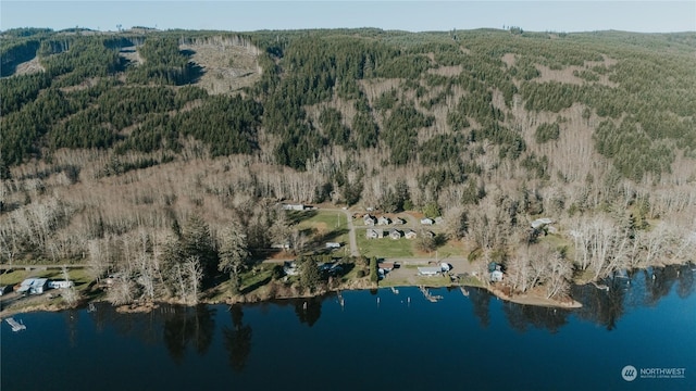 20 Smithville Rd, Beaver, WA 98305 - photo 1
