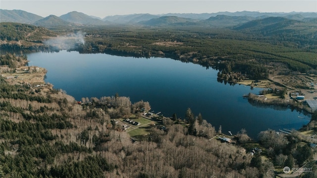 20 Smithville Rd, Beaver, WA 98305 - photo 3