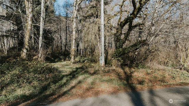 20 Smithville Rd, Beaver, WA 98305 - photo 37