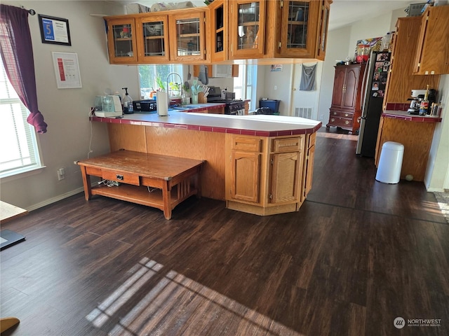 kitchen featuring kitchen peninsula, sink, dark wood-type flooring, and appliances with stainless steel finishes