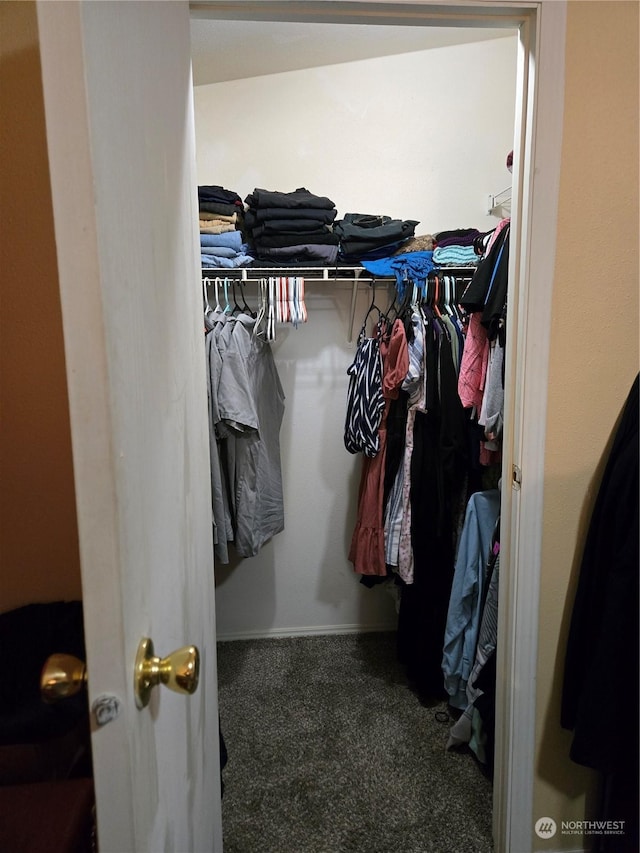 spacious closet featuring dark colored carpet