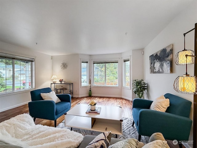 living room with hardwood / wood-style floors