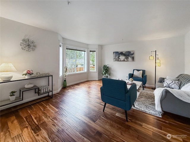 living room featuring wood-type flooring