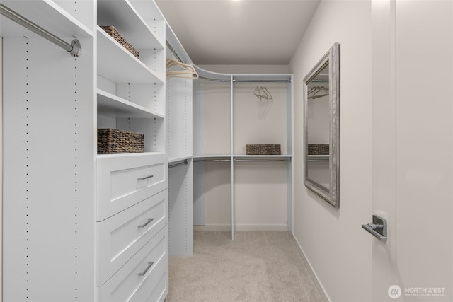 spacious closet with light carpet