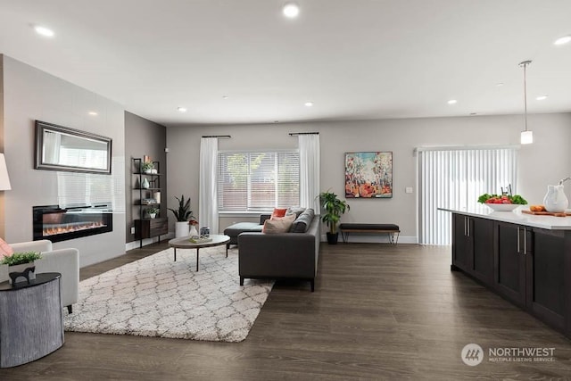 living room with dark hardwood / wood-style flooring