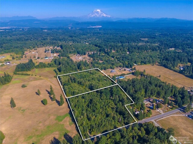 0 Meridian E, Graham, WA 98338 - photo 2