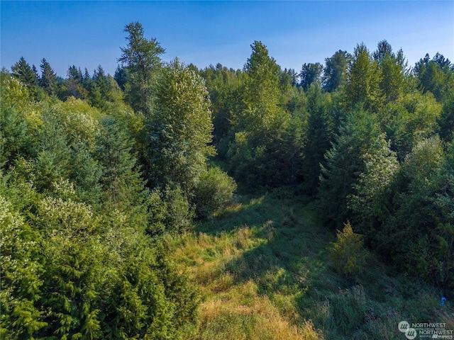 0 Meridian E, Graham, WA 98338 - photo 9