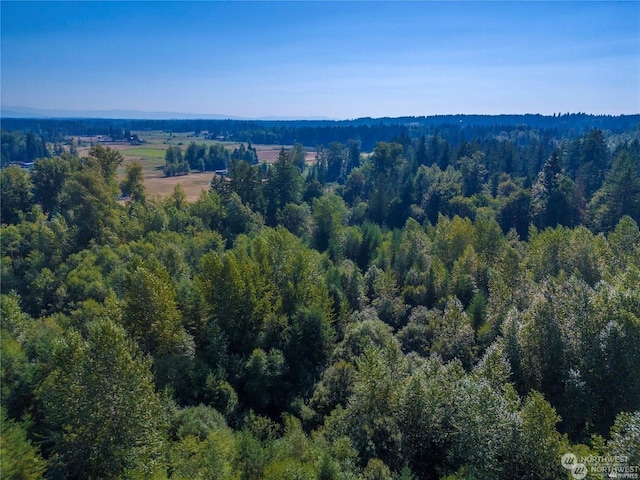 0 Meridian E, Graham, WA 98338 - photo 10