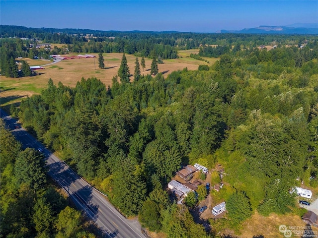 0 Meridian E, Graham, WA 98338 - photo 11