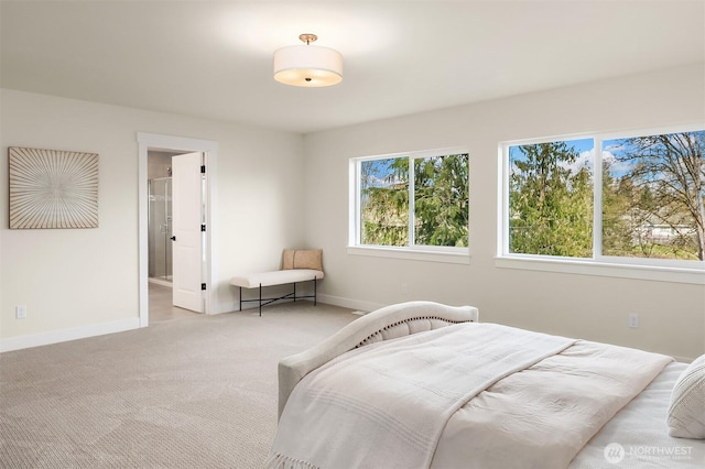 21416 116th Ave SE Unit 5, Kent, WA 98031 - bedroom with baseboards and light colored carpet