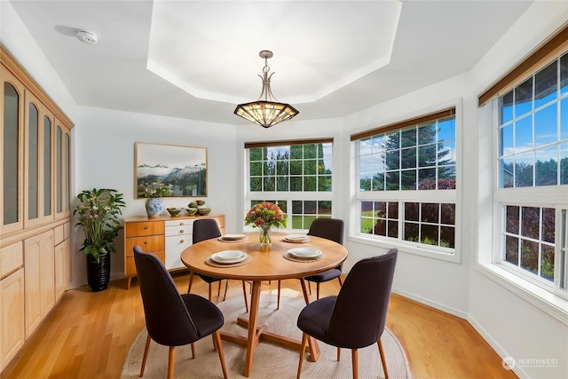 dining room featuring a tray ceiling, a wealth of natural light, and light wood-type flooring