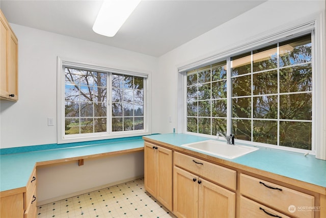 kitchen featuring sink