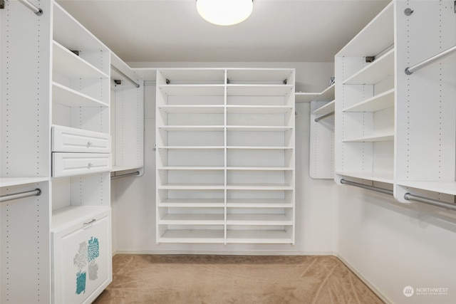 spacious closet with light colored carpet