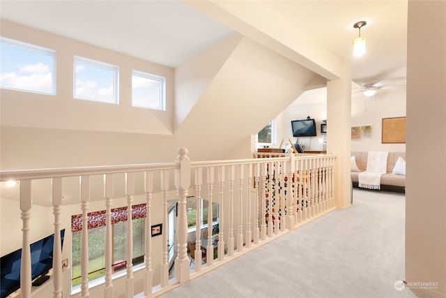 corridor featuring a wealth of natural light, a towering ceiling, and carpet floors