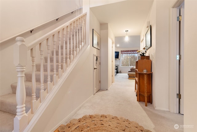 staircase with carpet flooring