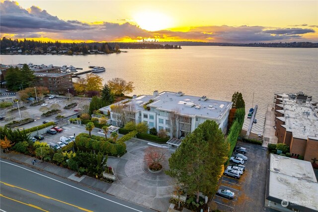 5505 Lake Washington Blvd NE Unit 1-D, Kirkland, WA 98033 - bird's eye view of a large body of water