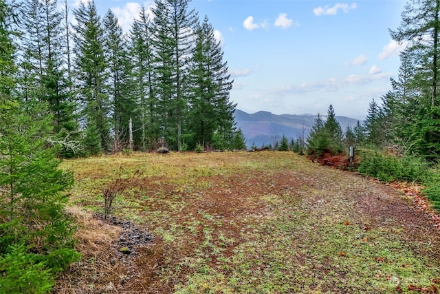 Listing photo 2 for 143 Meadow Ridge Way, Mossyrock WA 98564