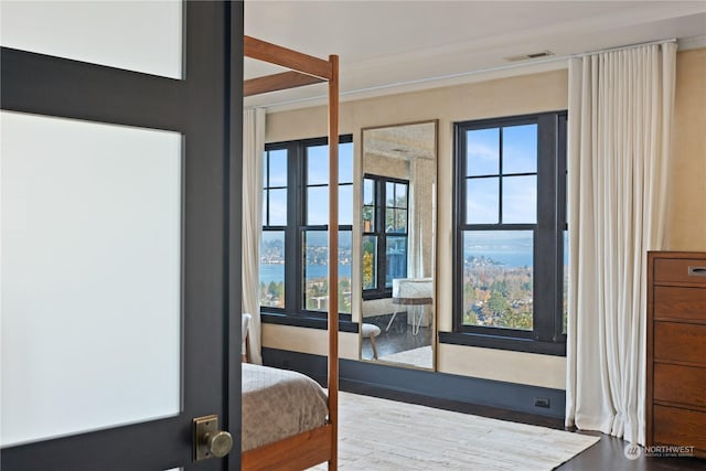 entryway featuring hardwood / wood-style floors, a water view, and a healthy amount of sunlight