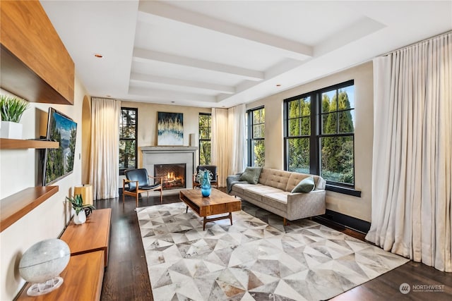 living room featuring a raised ceiling and light hardwood / wood-style flooring