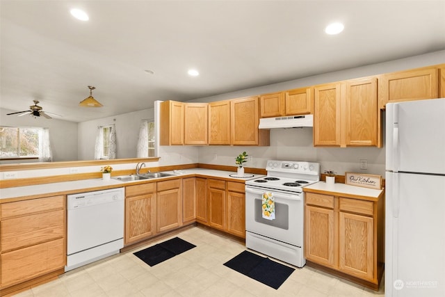 kitchen featuring white appliances, ceiling fan, and sink