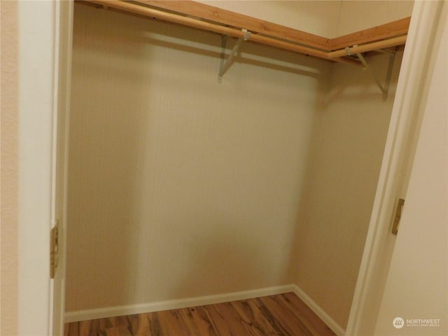 spacious closet with hardwood / wood-style flooring