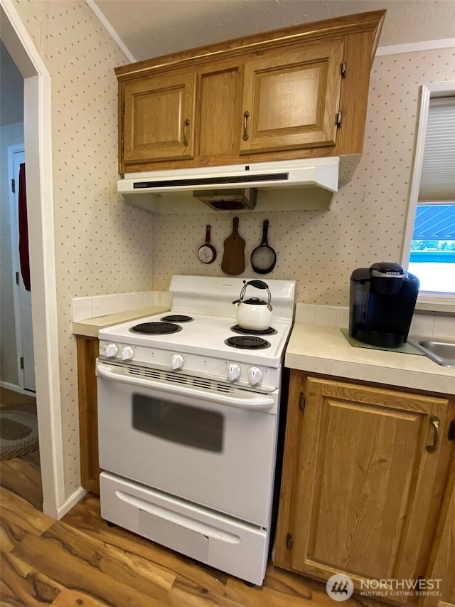 kitchen featuring hardwood / wood-style flooring, white range with electric cooktop, and sink