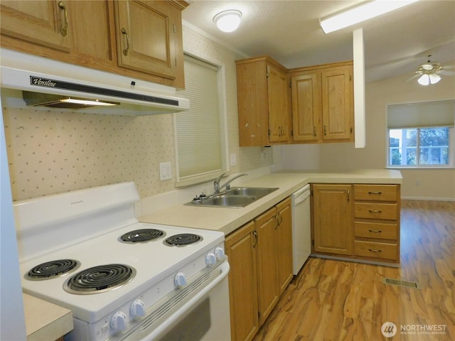 kitchen with sink, white appliances, kitchen peninsula, ceiling fan, and light hardwood / wood-style floors