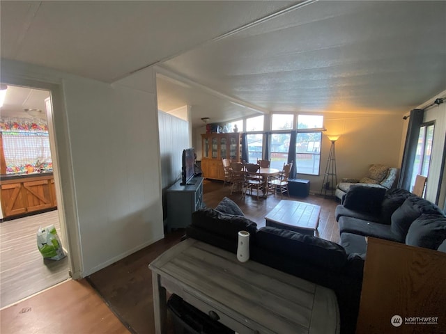 living room featuring hardwood / wood-style floors and vaulted ceiling