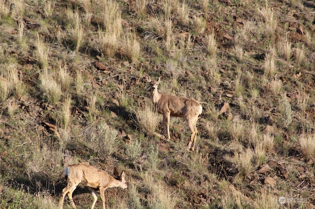 0 W Coyote Trl, Ephrata, WA 98823