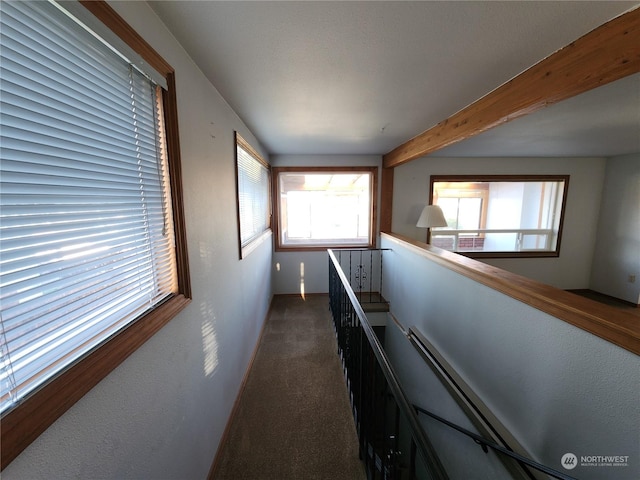 hall with dark colored carpet