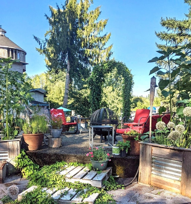 view of yard featuring a patio area