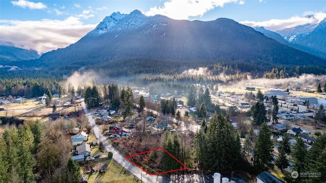 609 Clear Creek Rd, Darrington WA, 98241 land for sale