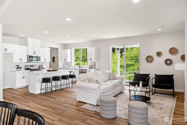 living room with sink and light hardwood / wood-style floors