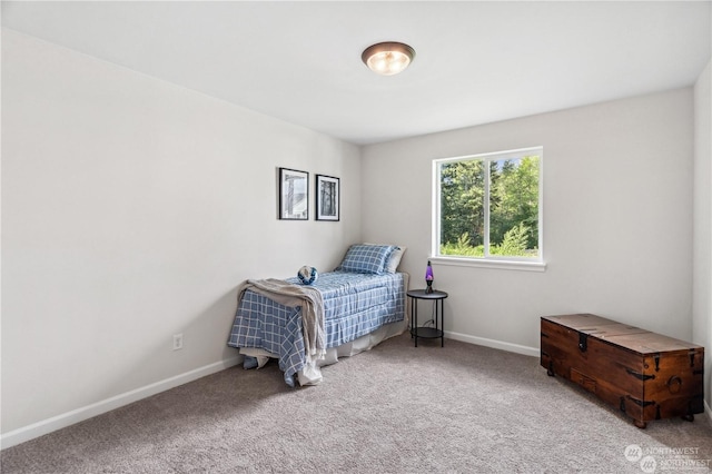 bedroom featuring carpet flooring