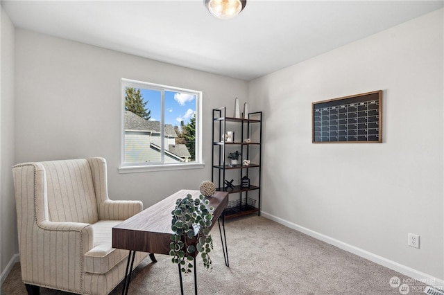 sitting room featuring carpet floors