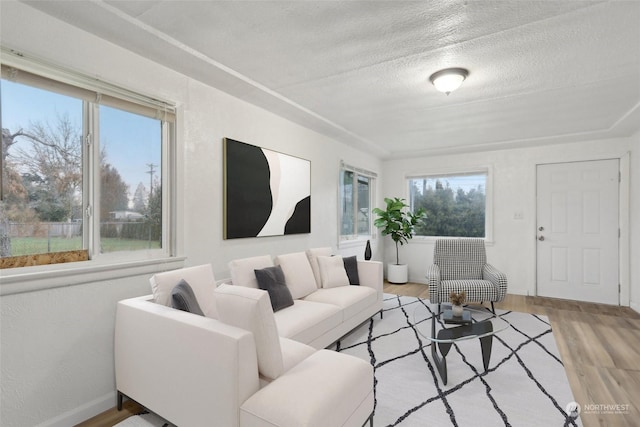 living room featuring a textured ceiling, light hardwood / wood-style flooring, and a healthy amount of sunlight