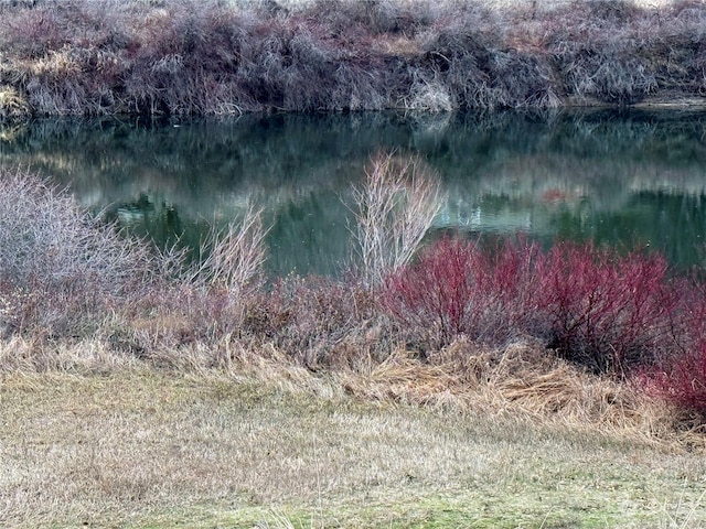 view of local wilderness with a water view