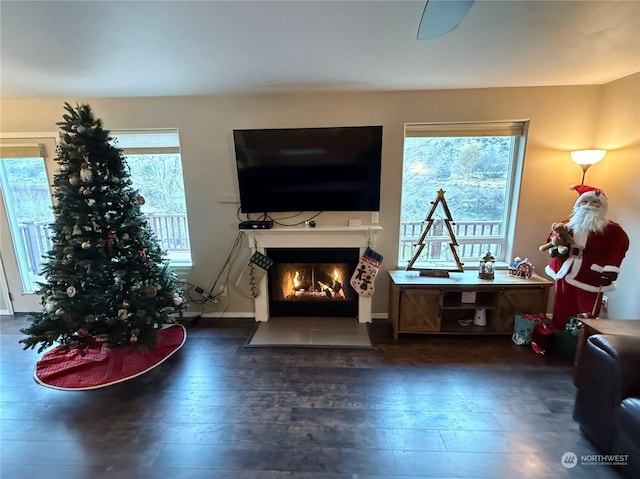 interior space with dark hardwood / wood-style flooring