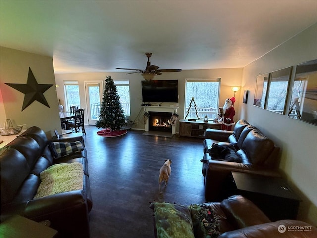 living room with ceiling fan and dark hardwood / wood-style floors