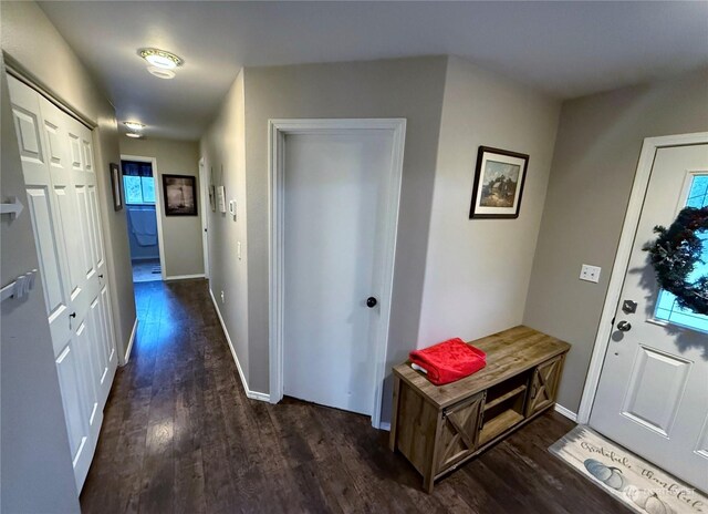 foyer featuring a wealth of natural light and dark wood-type flooring