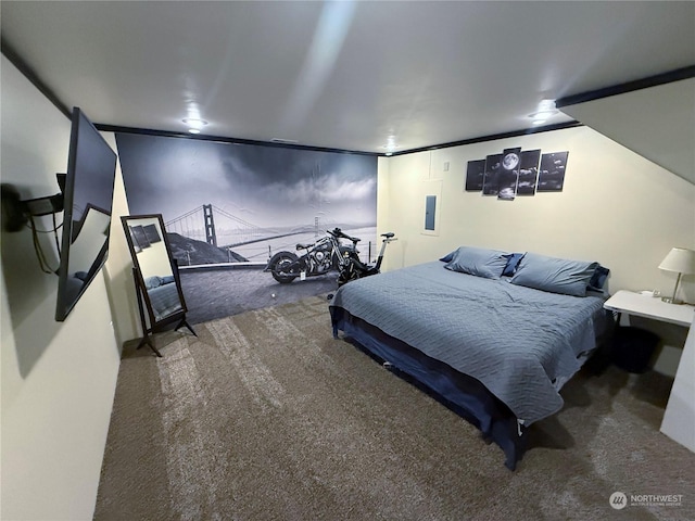 bedroom with carpet and electric panel