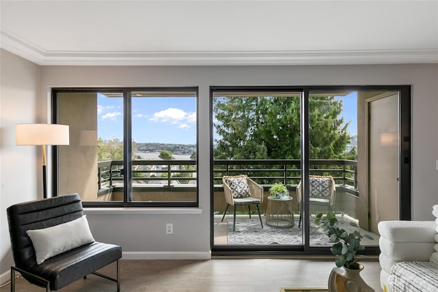 doorway featuring hardwood / wood-style floors, ornamental molding, and a wealth of natural light