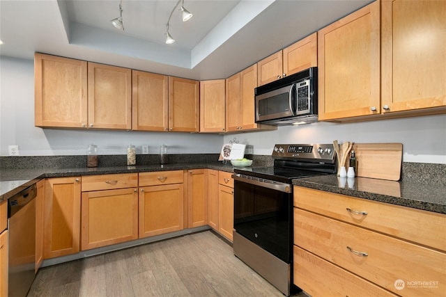 kitchen featuring a tray ceiling, dark stone countertops, appliances with stainless steel finishes, and light hardwood / wood-style flooring