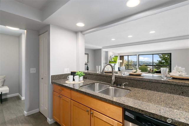 kitchen with stainless steel dishwasher, dark hardwood / wood-style flooring, sink, and dark stone counters